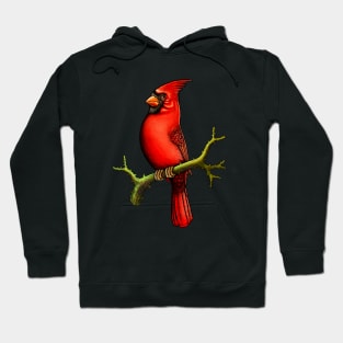 Red Cardinal bird cute cardinal cardinal lover Hoodie